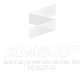 ROM SLOT